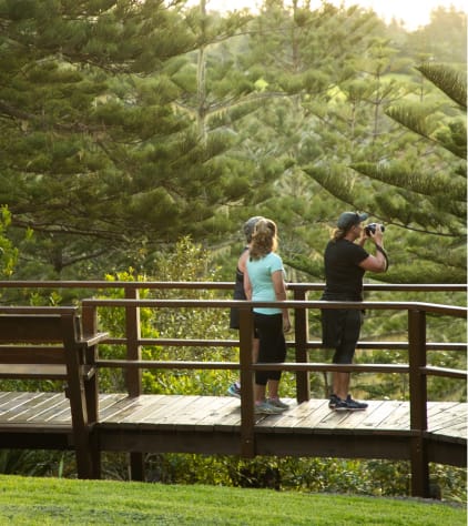 Norfolk Island Photography