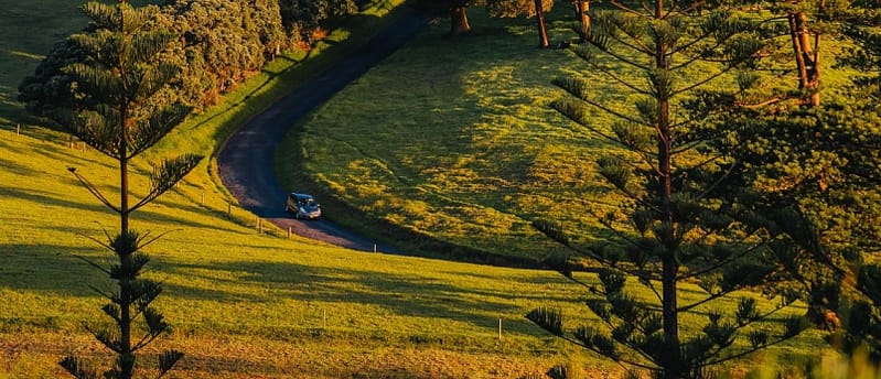 Autumn on Norfolk Island